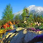 Panoramic Mountain