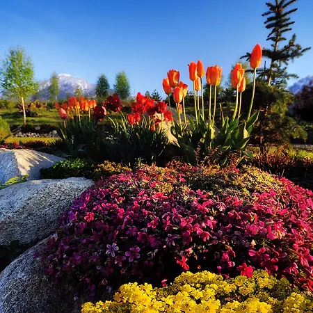 公寓 全景山脉公寓