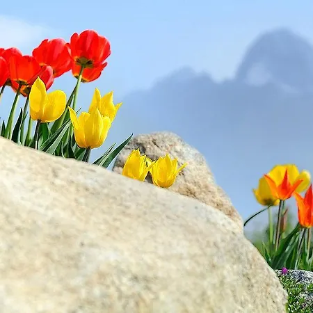 Apartman Panoramic Mountain Vysoké Tatry