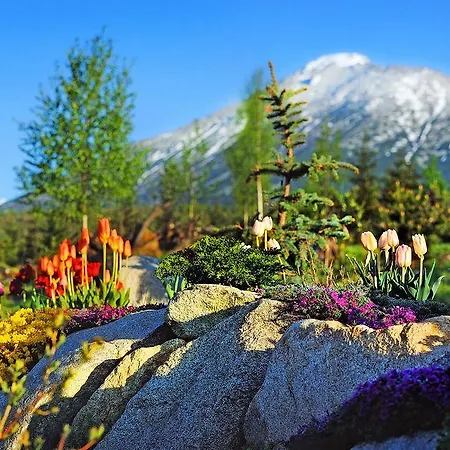 Panoramic Mountain