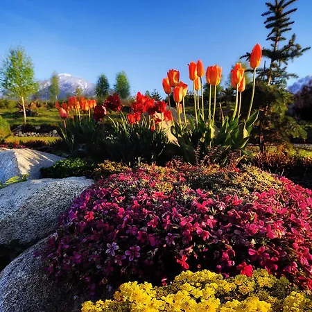 Panoramic Mountain Apartment Vysoke Tatry