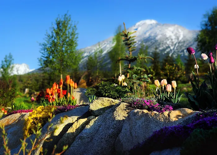 全景山脉公寓 公寓 Vysoké Tatry