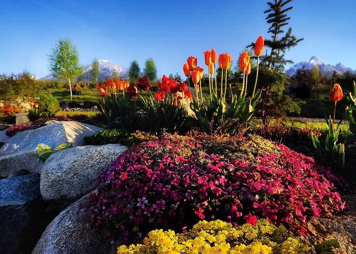 公寓 全景山脉公寓