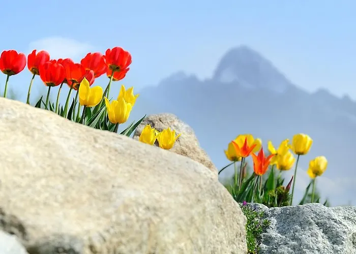 公寓 全景山脉公寓 *