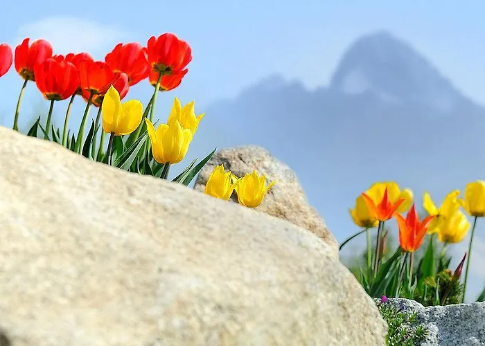 公寓 全景山脉公寓 Vysoké Tatry